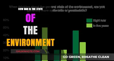 Environmental Crisis: Unveiling the Devastating State of Our Planet Today