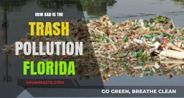 Florida's Trash Pollution: A Growing Environmental Crisis