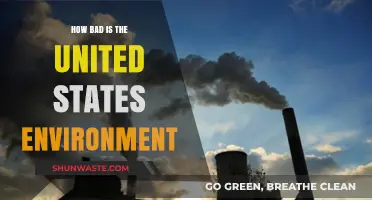 The Alarming State of America's Environment: Challenges and Consequences