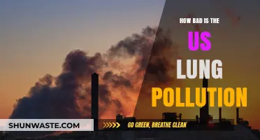 US Lung Pollution: A Deadly Crisis