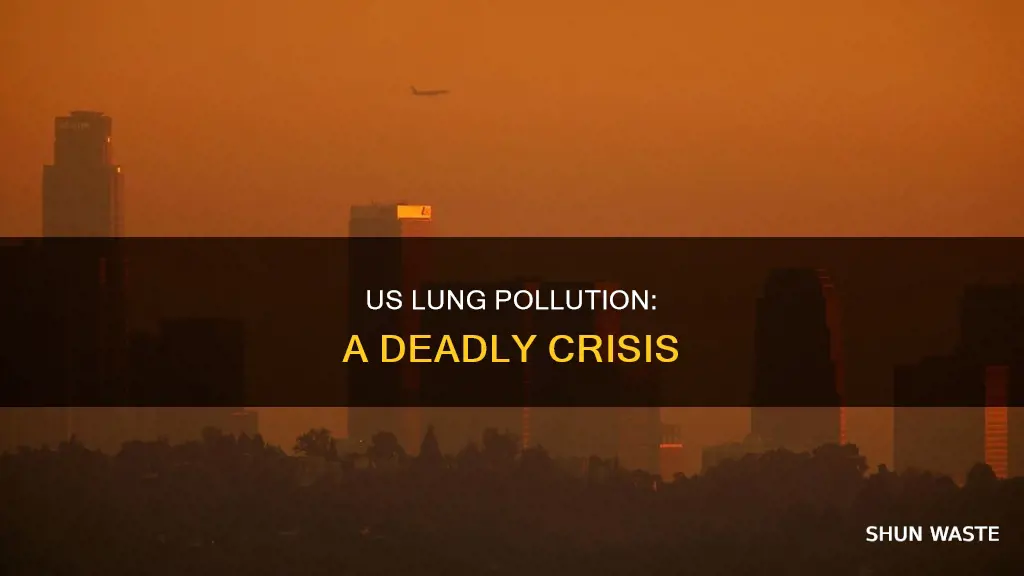 how bad is the us lung pollution