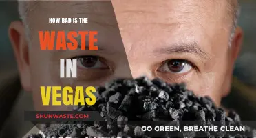 Vegas's Waste Crisis: Uncovering the Dark Side of Sin City
