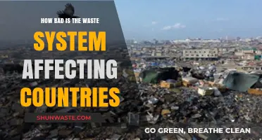 Global Waste Crisis: Devastating Impacts on Nations and Ecosystems