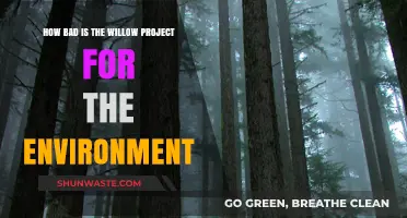 The Willow Project's Environmental Impact: A Critical Analysis