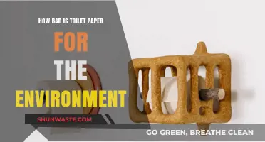 Toilet Paper's Environmental Impact: Uncovering the Hidden Costs of Convenience