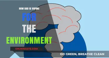 Vaping's Environmental Impact: Uncovering the Hidden Ecological Costs