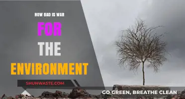War's Devastating Impact: How Conflict Destroys Our Environment and Planet