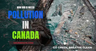 Water Pollution in Canada: A Growing Concern?