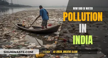 India's Water Crisis: A Deep Dive into the Pollution Problem