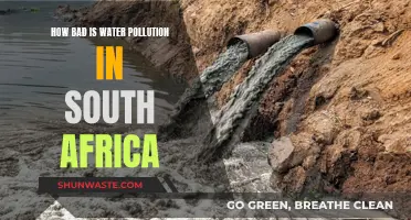 South Africa's Water Crisis: A Deep Dive into the Pollution Problem