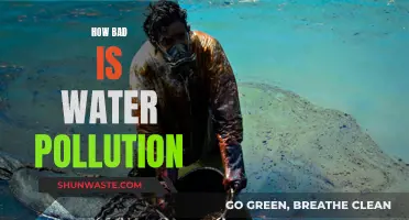 The Alarming Reality of Water Pollution: A Global Crisis