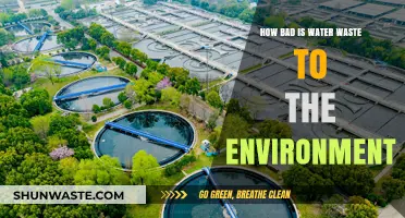The Devastating Environmental Impact of Water Waste: A Critical Analysis