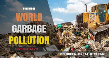 Garbage Pollution: A Global Crisis and Health Hazard