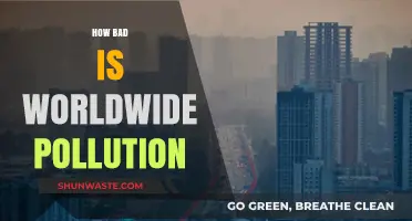 Pollution's Global Impact: A Dire Warning