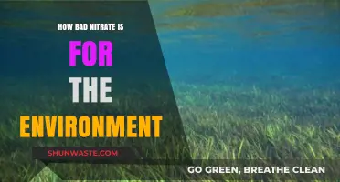 Nitrate Pollution: Environmental Impact and the Urgent Need for Action