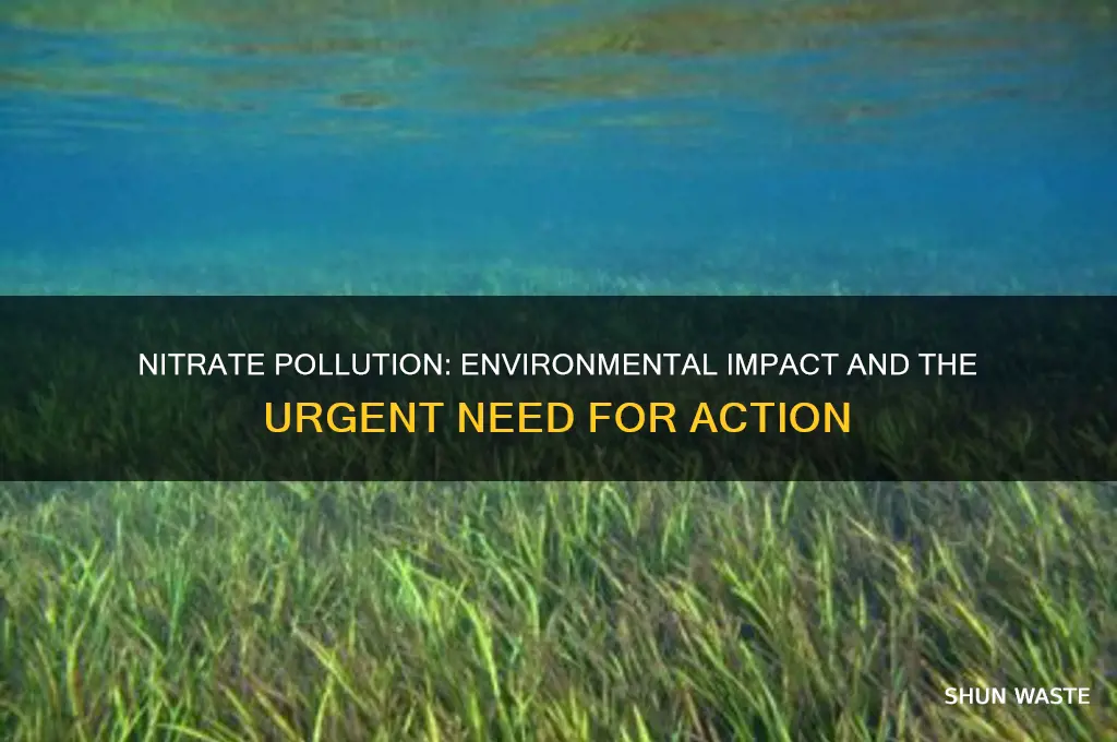 how bad nitrate is for the environment