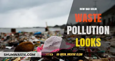 The Ugly Face of Solid Waste Pollution