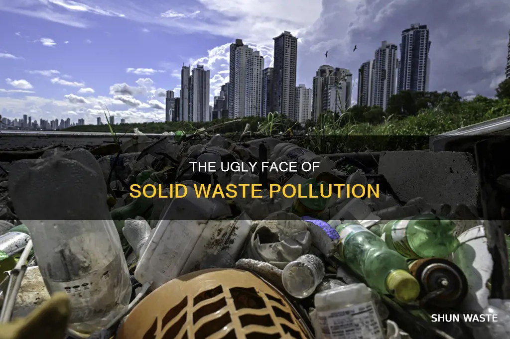 how bad solid waste pollution looks