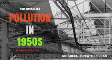 Car Pollution in the 1950s: A Dark Era