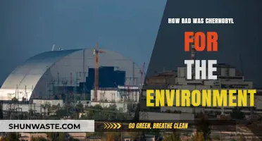 Chernobyl's Environmental Catastrophe: Long-Term Impacts and Ecological Consequences