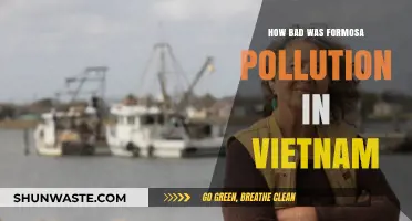 Formosa Pollution: Devastating Vietnam's Environment and Ecology