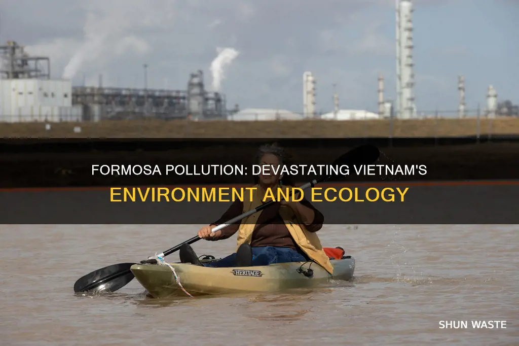 how bad was formosa pollution in vietnam