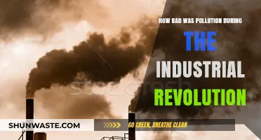 Industrial Revolution's Dark Legacy: Pollution's Deadly Toll