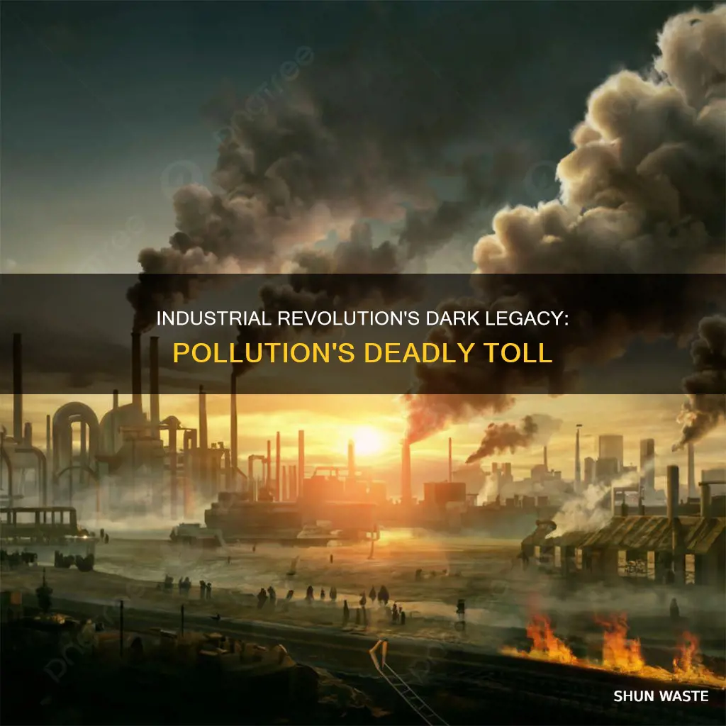 how bad was pollution during the industrial revolution