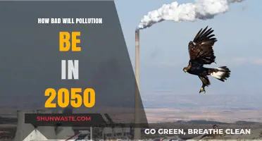 Future Pollution: A Bleak Outlook for 2050