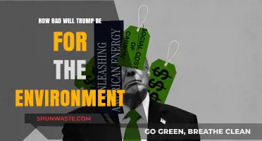 Trump's Environmental Impact: A Looming Crisis for Our Planet?