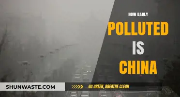 China's Pollution Crisis: A Dire Situation