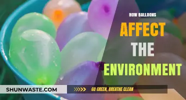 The Hidden Environmental Impact of Balloons: A Comprehensive Analysis