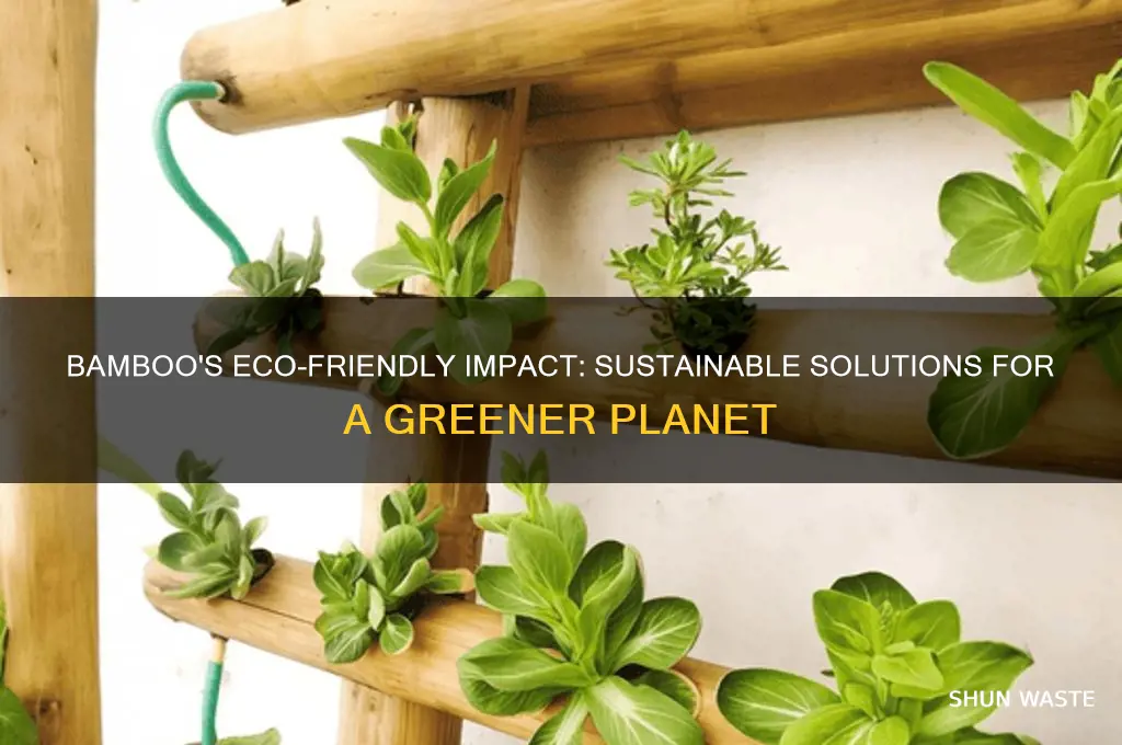 how bamboo helps the environment