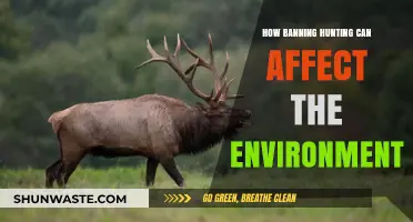 Banning Hunting: Unintended Environmental Consequences and Ecosystem Imbalance Explored