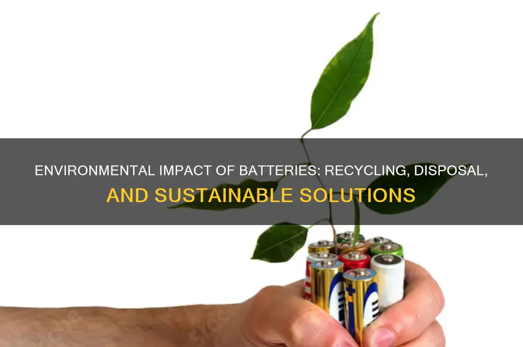 how batteries affect the environment