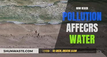 The Impact of Beach Pollution: A Threat to Our Waterways