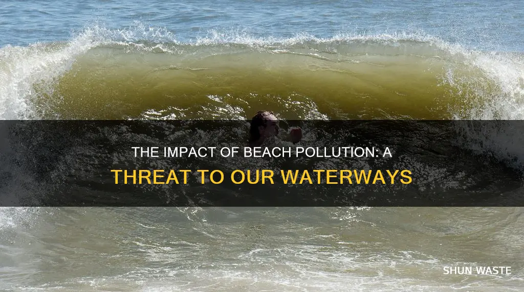 how beach pollution affecrs water