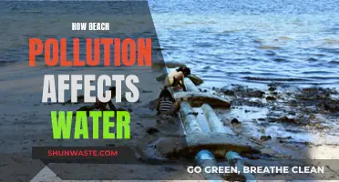 Beach Pollution: Toxic Water Crisis