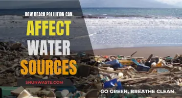 Beach Pollution's Impact on Water Sources