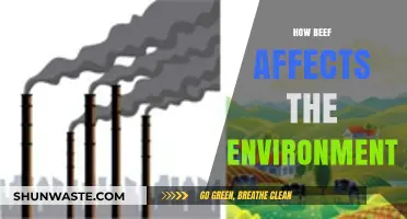 Beef's Environmental Impact: Climate, Land, and Resource Challenges Explained