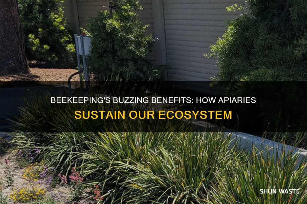 how beekeeping helps the environment