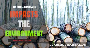 Lumberjack Life: Environmental Impacts of Logging and Forest Management