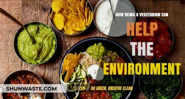 Vegetarianism's Green Impact: How Plant-Based Diets Save Our Planet