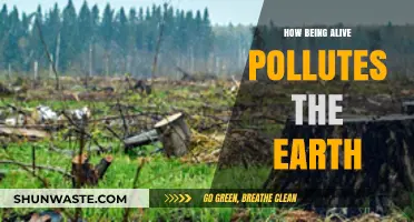 Living Impacts: Our Pollution Footprint