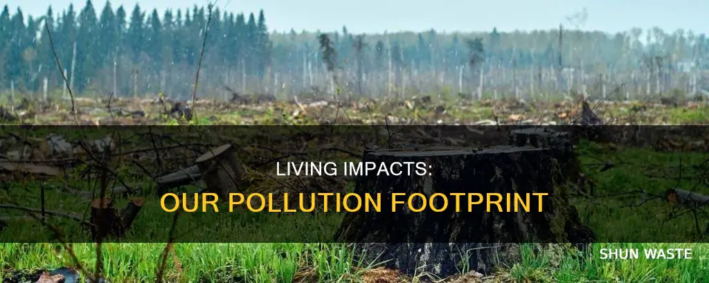 how being alive pollutes the earth