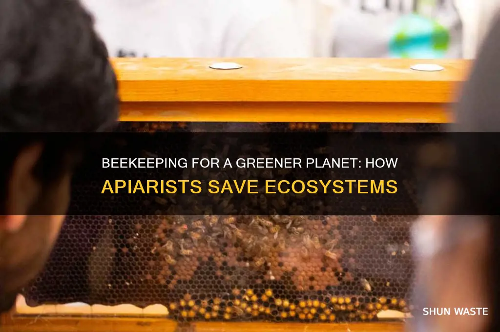 how being an apiarist can help the environment