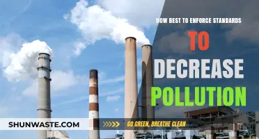 Enforcing Standards: Pollution's Solution