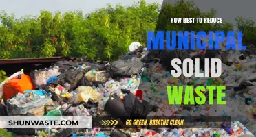 Effective Strategies to Minimize Municipal Solid Waste and Promote Sustainability