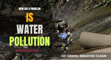 The Global Water Crisis: A Growing Environmental Catastrophe