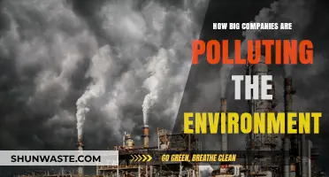 Corporate Giants: Polluting Our Planet